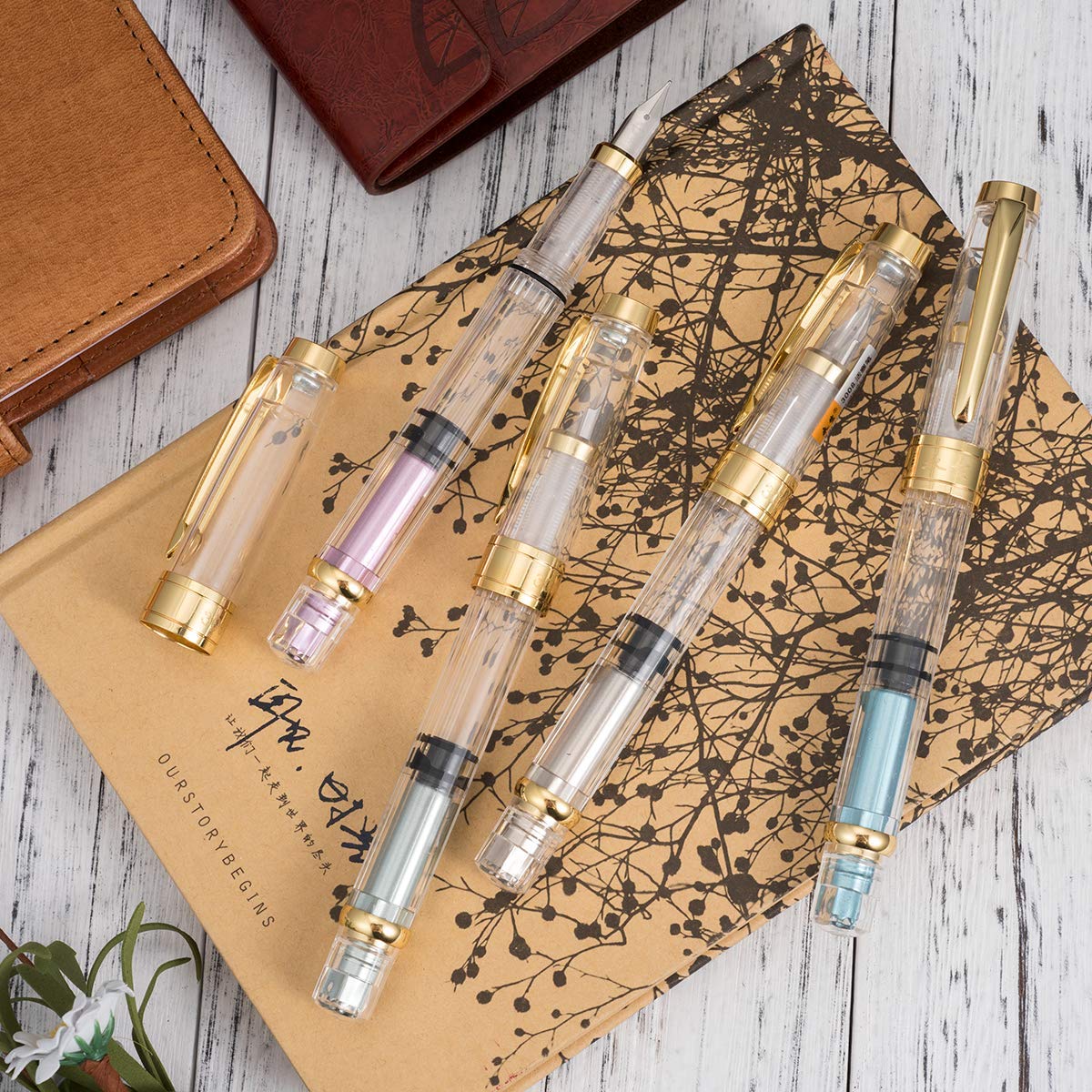 Amazon | Wing Sung 3008 万年筆 細字 透明軸 スクリュー式 ゴールド